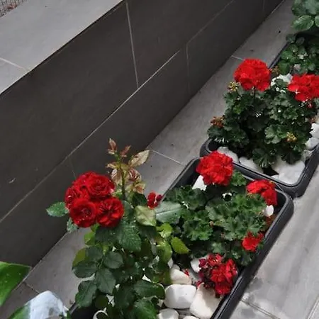 Apartment Navie Garden Getaway Near To Peraia (Thessaloniki)